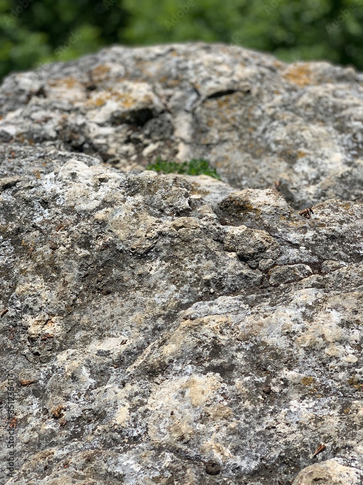 Rock nature stone climbing mountain hill structure texture grey plants