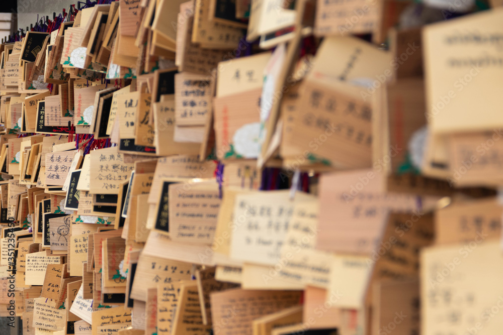 Fototapeta premium Ema wood plaque