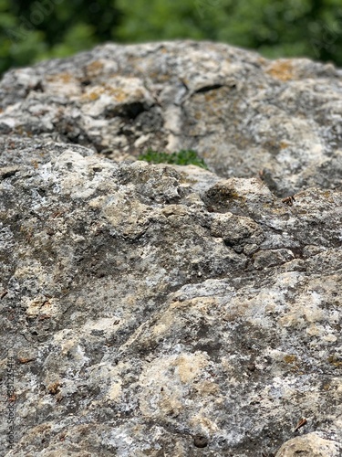 Rock nature stone climbing mountain hill structure texture grey plants