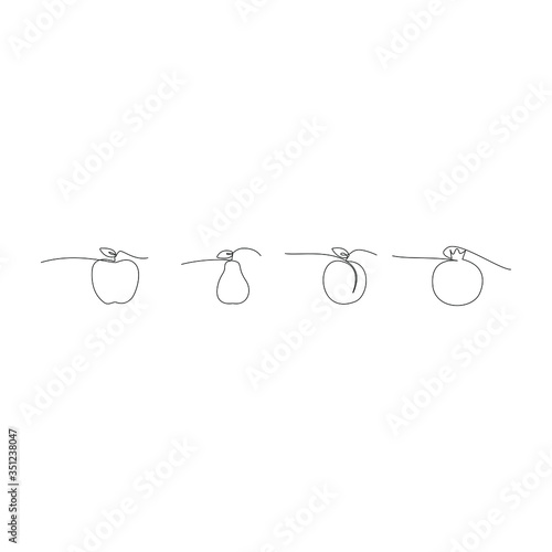 Continuous Fruit Line. Design element. Vector illustration. on white background