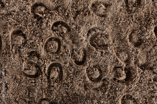 Many horseshoe marks in the sand in horse arena