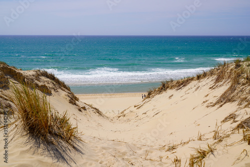 Fototapeta Naklejka Na Ścianę i Meble -  sand dunes access beach in Le porge village near Lacanau France