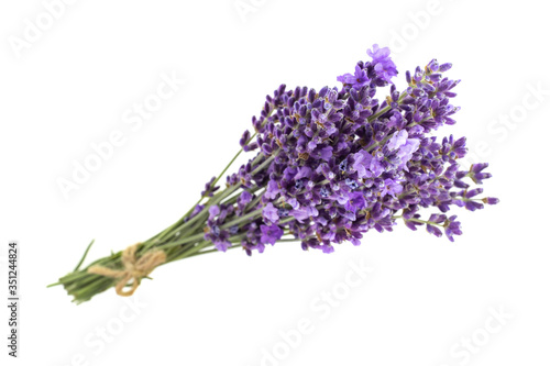 Lavender flowers bouquet in closeup. Bunch of lavender flowers isolated over white background.