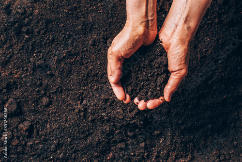 Photography Dirty woman hands holding dark moist soil
