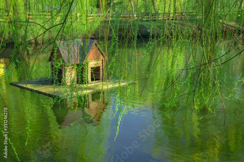 wooden cabin pond water surface summer day time with tree foliage foreground scenic space landscaping environment park