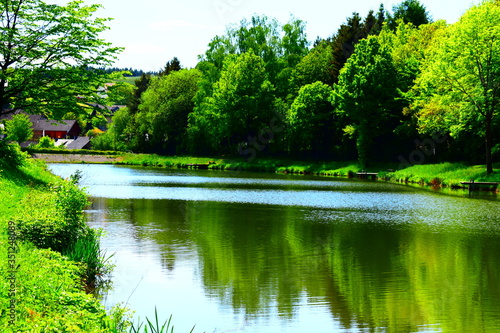 Frühling am Heilbachsee, Gunderath in der Eifel photo