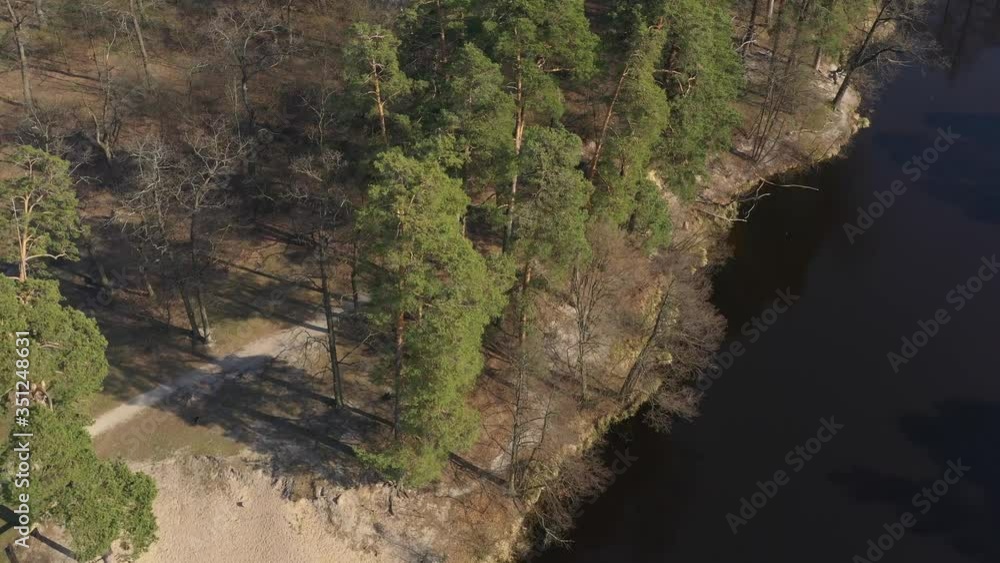 top view of trees and pines, shadows from branches on the ground, graphic geometric pattern, clean ecology zone, forest, wildlife and a place for travelers, a river and a lake washed by the banks top view of trees and pines, shadows from branches on the ground, graphic geometric pattern, clean ecology zone, forest, wildlife and a place for travelers, a river and a lake washed by the banks
