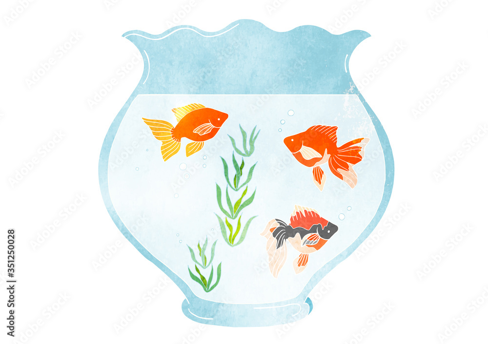 金魚鉢と金魚のベクターイラスト 水彩 Stock Vector Adobe Stock 金魚鉢と金魚のベクターイラスト 水彩 Stock Vector Adobe Stock
