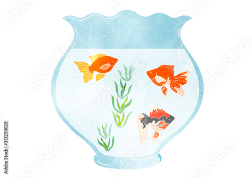 金魚鉢と金魚のベクターイラスト（水彩）