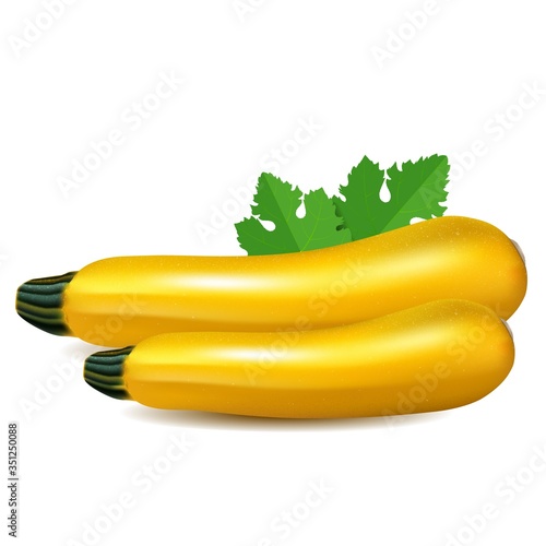 Yellow zucchini with leaves. Isolated on white background. Two Realistic zucchinis vegetables vector illustration.