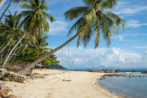 The sandy shores of the azure sea. Waves and palm tree with swing.