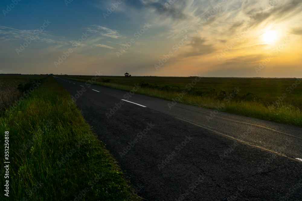 Fototapeta premium road in the sunset