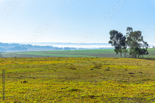 Rural landscape of the Pampa biome in the state of Rio Grande do Sul in Brazil bordering Uruguay and Argentina