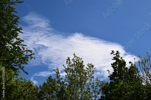 Schönwetterwolke über dem wAld photo