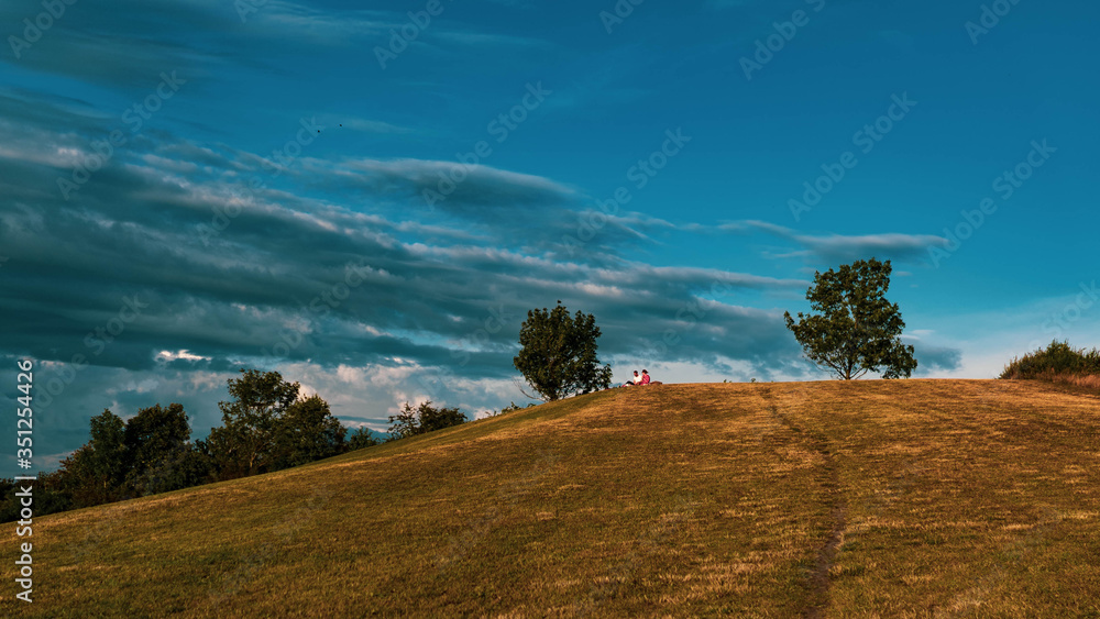 Fototapeta premium autumn landscape with trees