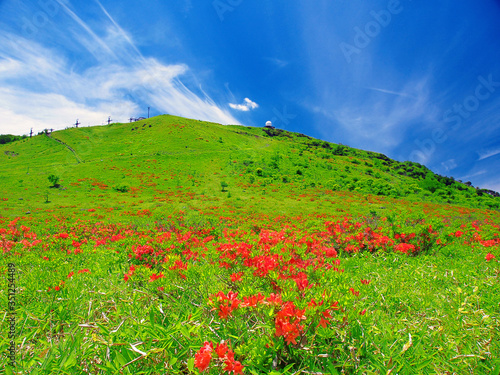  レンゲツツジ咲く草原と、山頂の気象レーダー観測所(霧ヶ峰・車山)