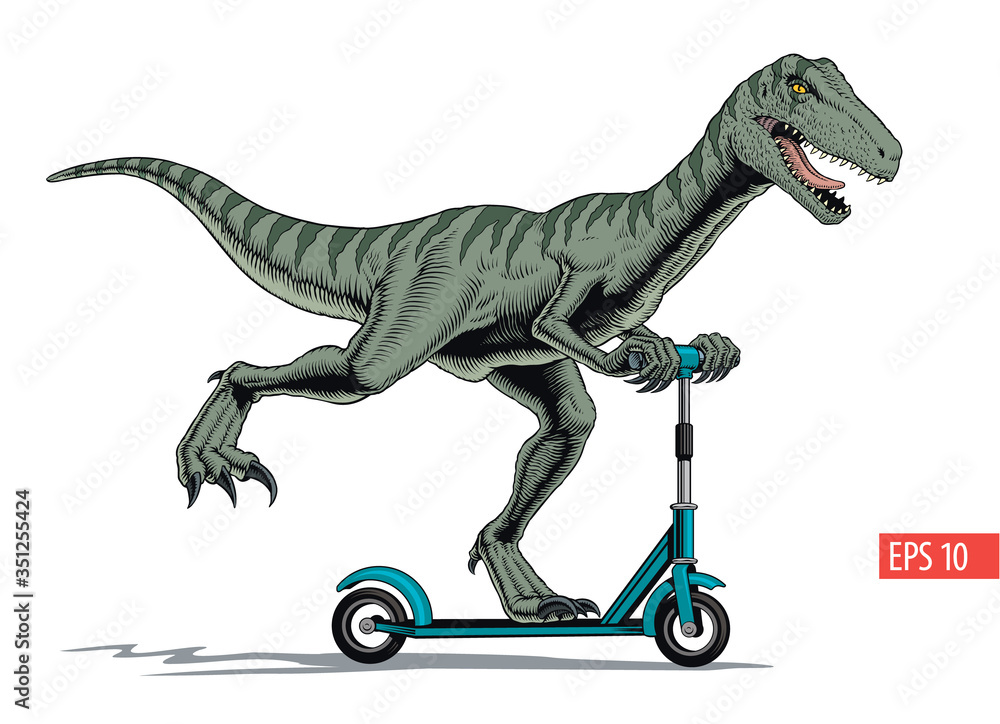 Velociraptor teenager dinosaur riding a scooter. Comic style vector  illustration. vector de Stock | Adobe Stock