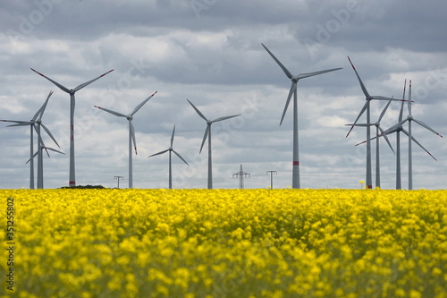 Windmühlen, Windenergie, Rapsfeld https://stock.adobe.com/de/contributor/64369/ebraxas