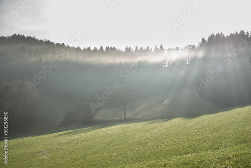 moody landscape in the hills of Winterberg germany 