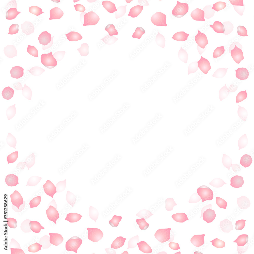 Vector bright cherry petals fall down. A lot of pink petals on white background. Nature horizontal backdrop.