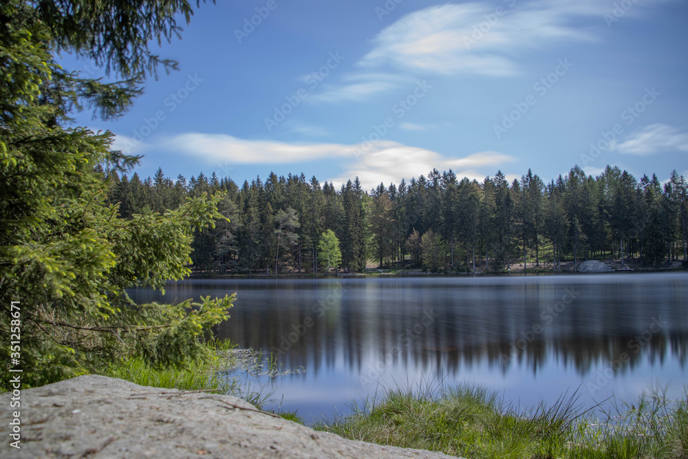 lake in the forest