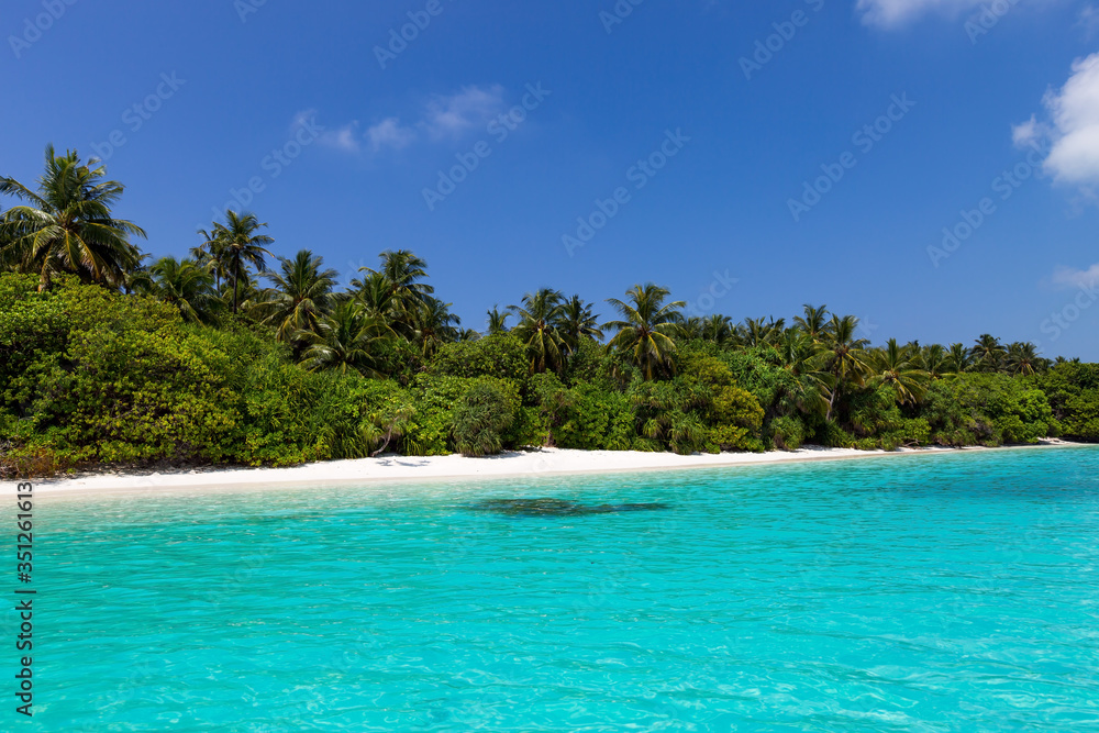 Sea with coconut palms island Sea with coconut palms island
