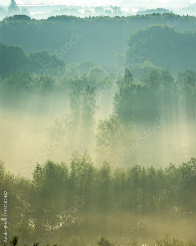 misty morning landscape