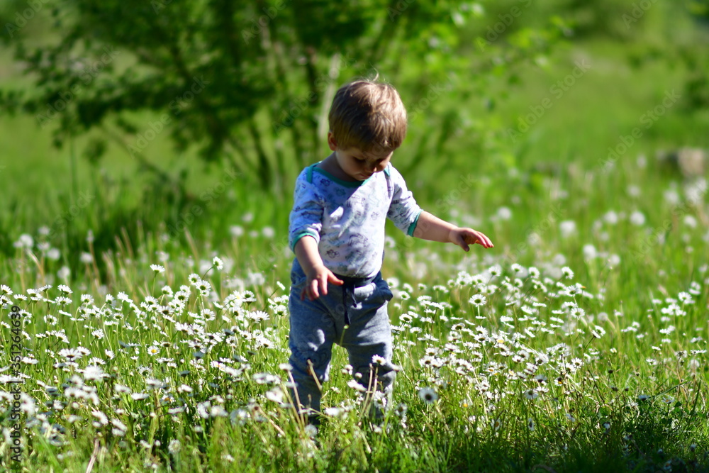 Obraz premium Dziecko, spacer, zabawa, radość, uśmiech, chłopczyk 2 latek