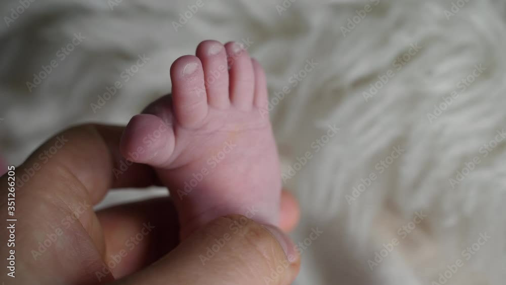 hand holding little cute newborn child foot fingers tootsy babinski sign hand holding little cute newborn child foot fingers tootsy babinski sign