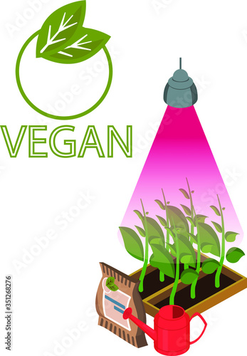 
isometry greenhouse with seedlings white background