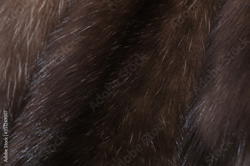Skins of natural fur sable.
