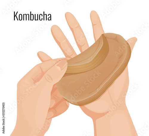 Vector illustration. Kombucha held in the hands
