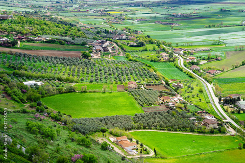 Beautiful spring view of the green valley with cultivated fields, olive (Olea europaea) groves, roads, homesteads, blooming lilac (syringa) from the mountain, from above in southern Italy