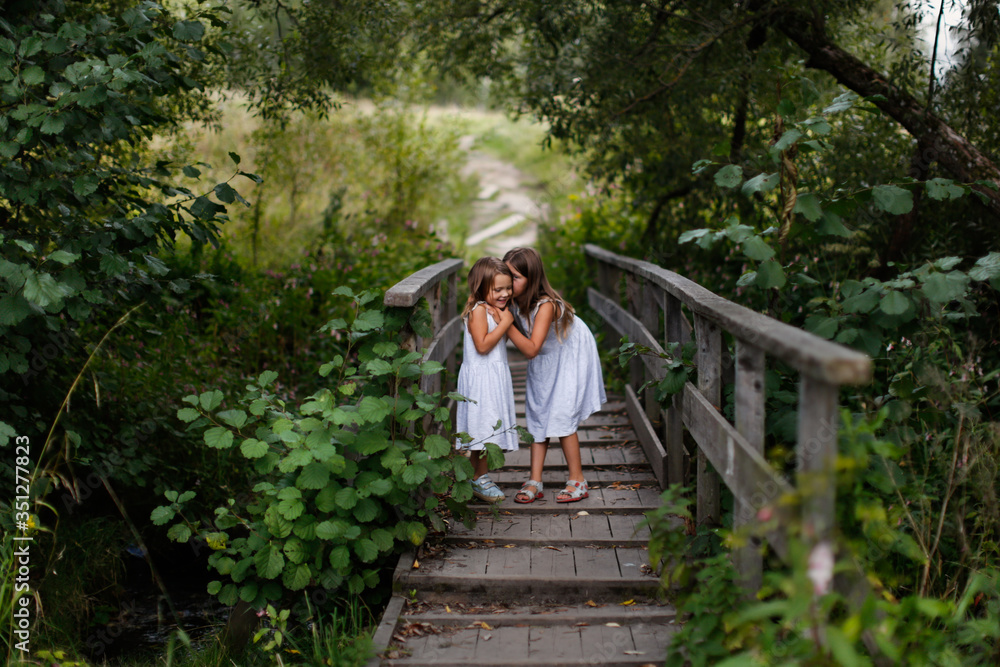 Fototapeta premium Children siblings play climb on a wooden bridge, Sister whispers in the ear, children's secrets