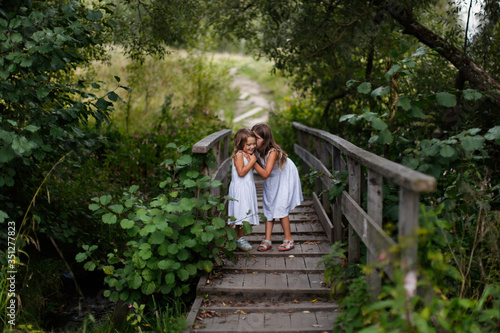 Children siblings play climb on a wooden bridge,  Sister whispers in the ear, children's secrets © natalialeb