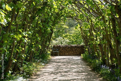 Green hazel archway tunnel to bench  overlooking Stream Gardens