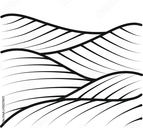vineyard vector illustration rural landscape