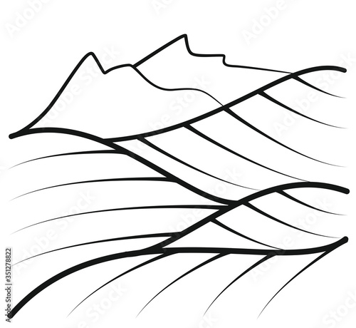 vineyard vector illustration rural landscape