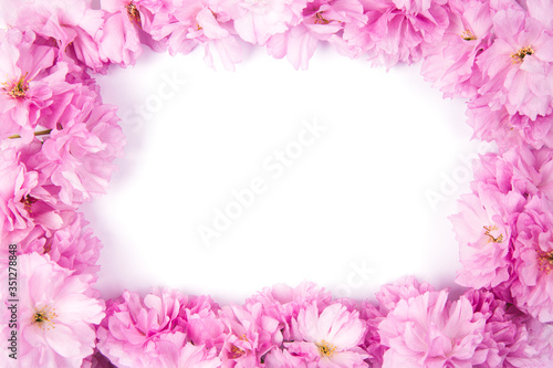 Spring pink sakura flowers frame