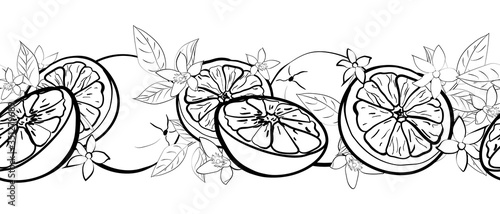 Seamless horizontal border from black outline citrus fruits, leaves and flowers on white background. Hand drawn. Doodle style. Vector illustration.