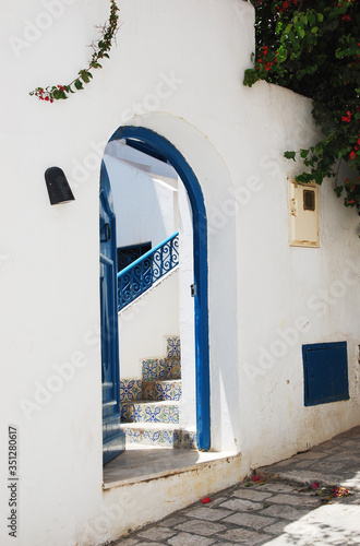 Staircase with patterned ceramic tiles behind an ajar blue door in a white wall among flowering plants in the city of Sidi Bou Said in Tunisia