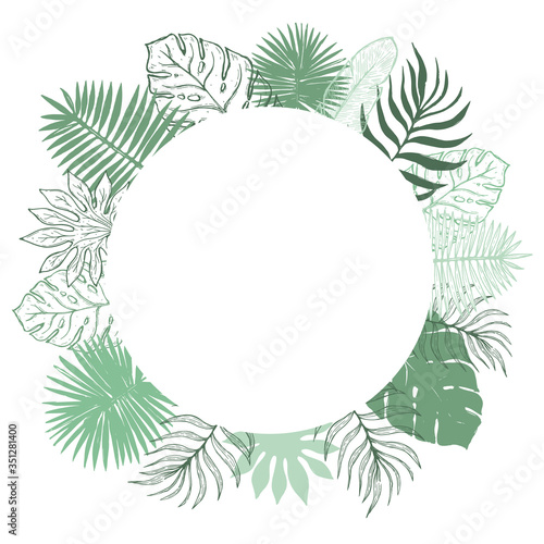 Tropical plant leaf frame.Botanical floral element background.