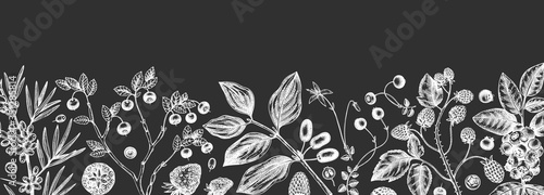 Hand drawn berries design on a chalkboard. Wild berries and flower template Hand drawing. Vintage forest plants sketch. Summer berries outline. 