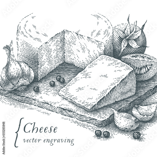 Cheese, garlic and tomatoes set. Hand drawn engraving style illustrations. Vector illustration.