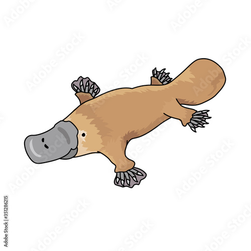 カモノハシ