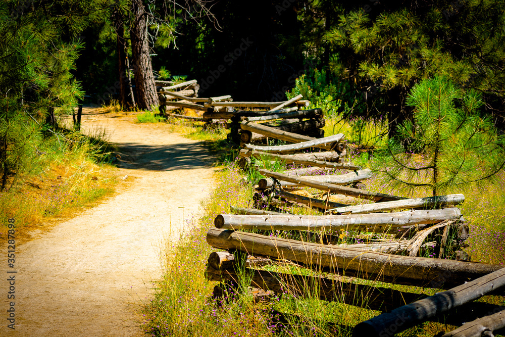 path winds by an old wooden fence path winds by an old wooden fence