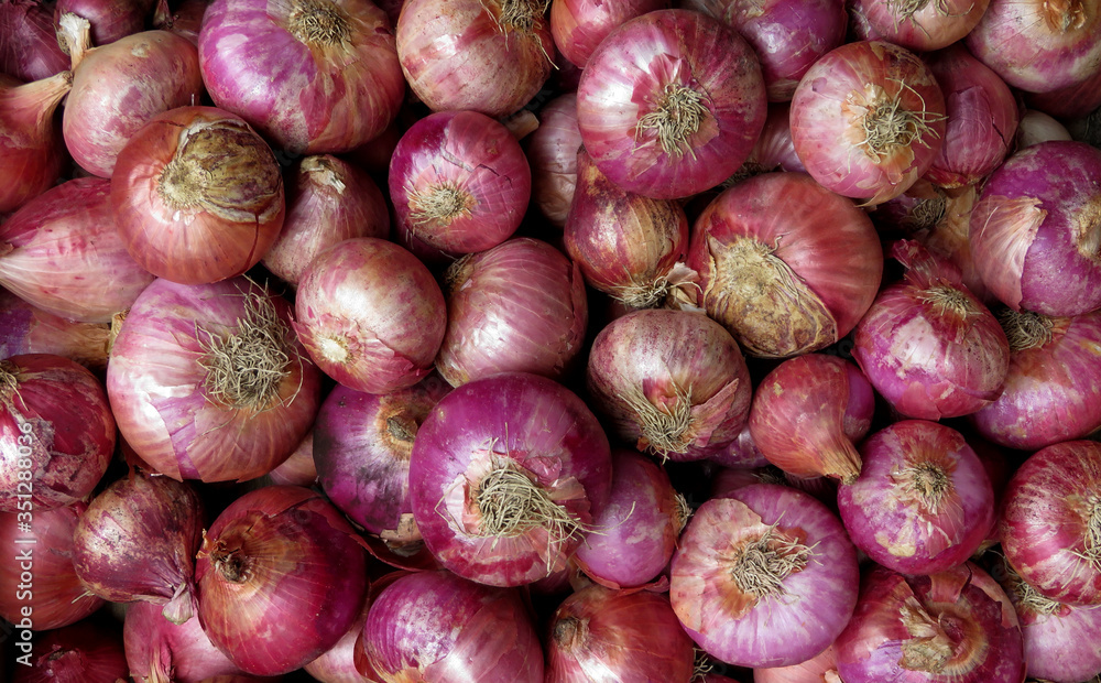 Isolated Red Onions,Red onions in market,onions at market ,Red onions on market stall,Closeup of Onions.Group Of Onions. Isolated Red Onions,Red onions in market,onions at market ,Red onions on market stall,Closeup of Onions.Group Of Onions.