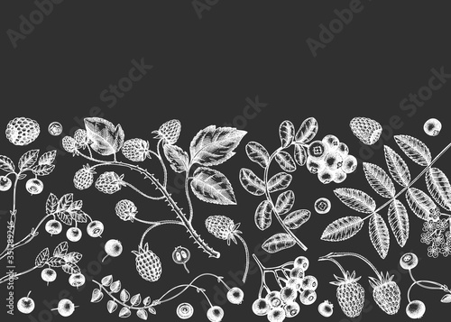 Hand drawn berries design on a chalkboard. Wild berries and flower template Hand drawing. Vintage forest plants sketch. Summer berries outline. 