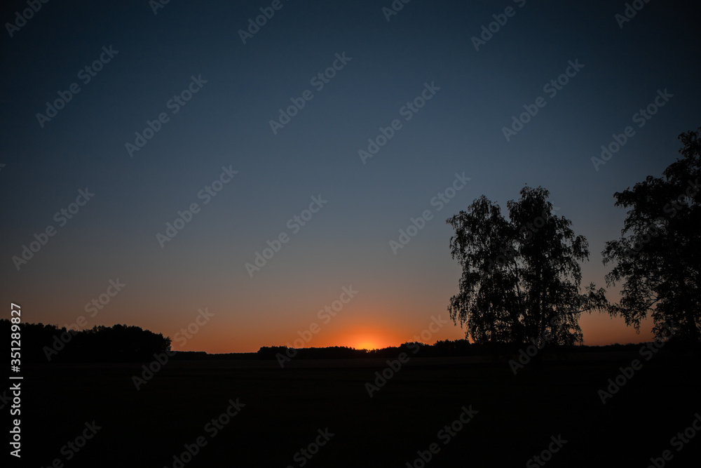 Dark silhouette of trees and woods against the background of sunset in the evening. Nature, forest, field, sky at sunset. Dark silhouette of trees and woods against the background of sunset in the evening. Nature, forest, field, sky at sunset.