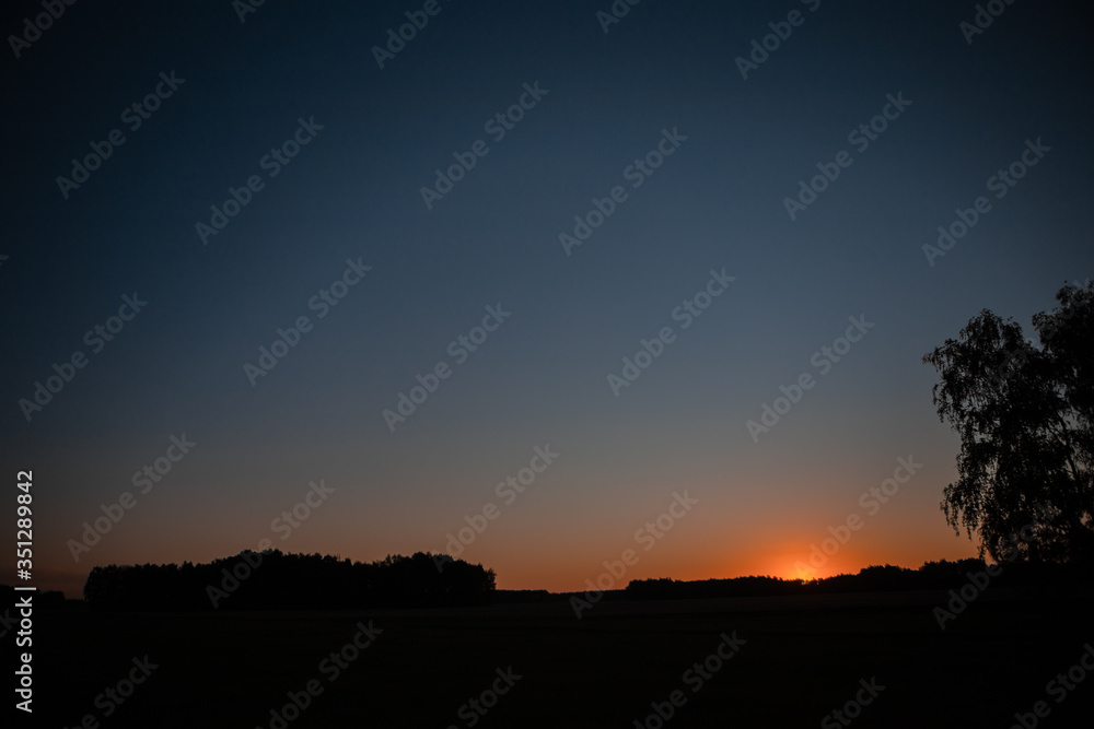 Dark silhouette of trees and woods against the background of sunset in the evening. Nature, forest, field, sky at sunset. Dark silhouette of trees and woods against the background of sunset in the evening. Nature, forest, field, sky at sunset.
